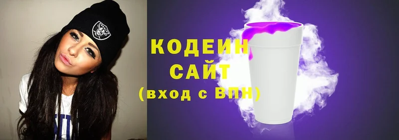 продажа наркотиков  Ишим  Codein Purple Drank 